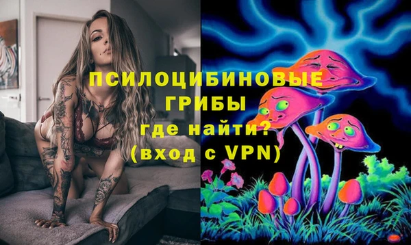 дурь Алексеевка