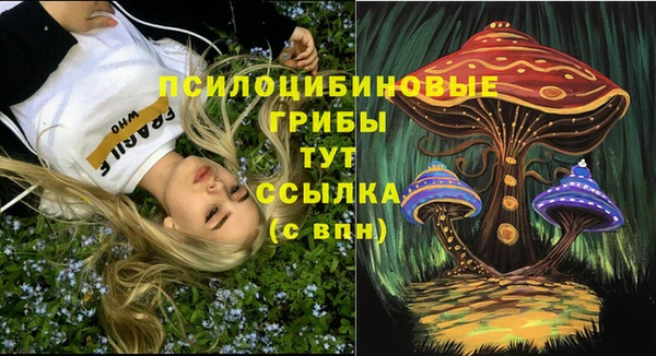 таблы Алзамай