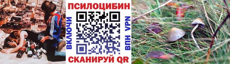 MEGA ТОР  закладка  Красноярск  Псилоцибиновые грибы MAGIC MUSHROOMS 